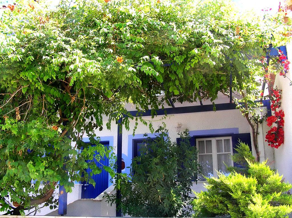 Koralli Studios Korissia  Exterior photo